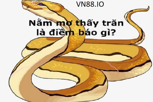 Nằm mơ thấy trăn là điềm gì? Giải mã giấc mơ không phải ai cũng biết VN88