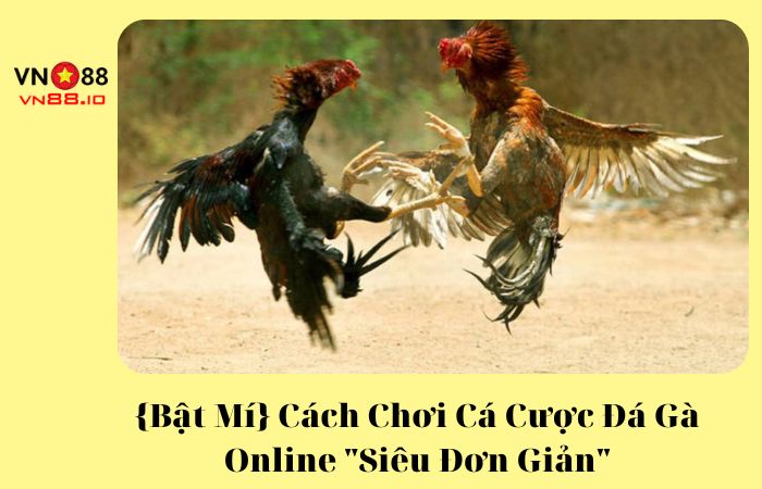 cach choi ca cuoc da ga bia