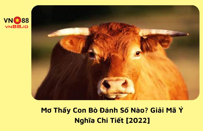 mơ thấy con bò