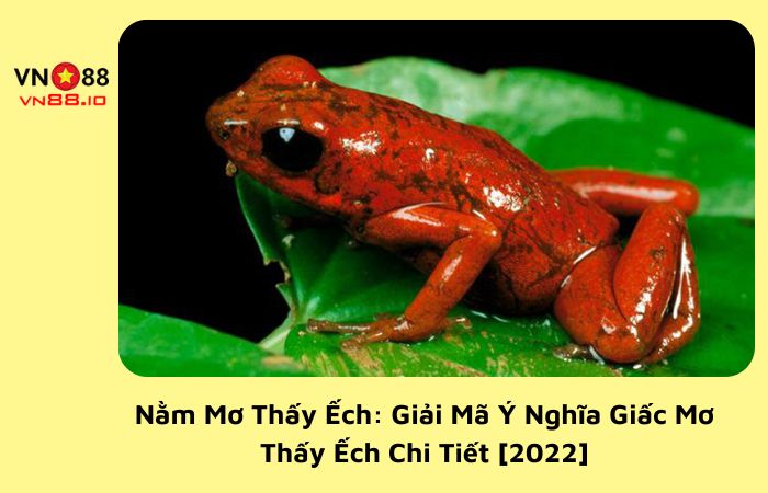 nằm mơ thấy ếch